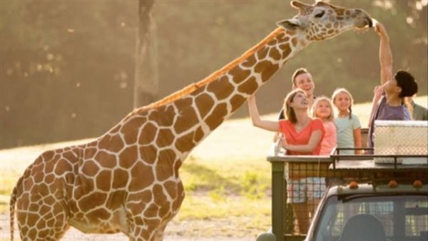 حقيقة فتح حديقة الحيوان