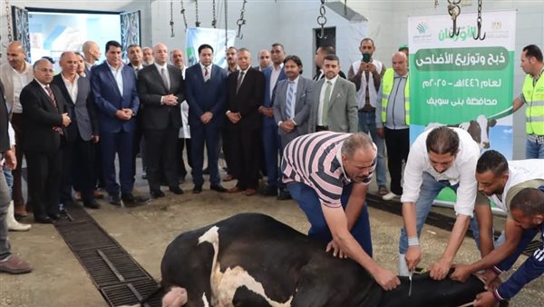 المحافظ يشهد ذبح