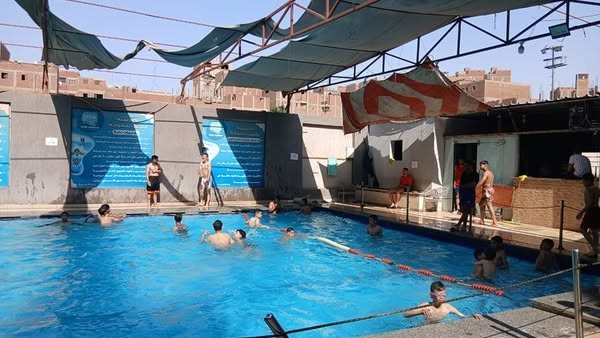 جانب من الفاعليات