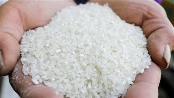 سعر طن الأرز الشعير