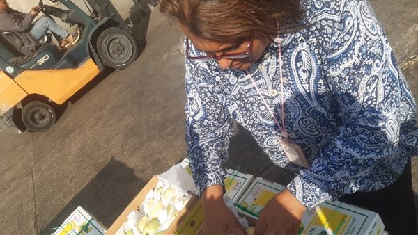 وزارة الزراعة 