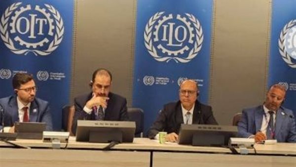 وزير العمل السيد