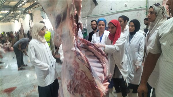 محافظة أسيوط