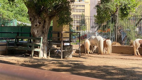 حديقة الحيوان 