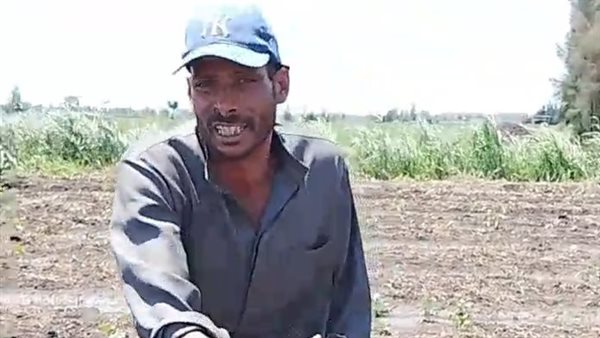 فلاح كفر الشيخ