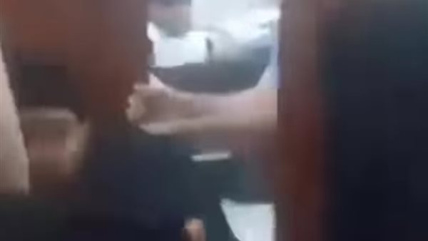 صورة السيدة من مقطع