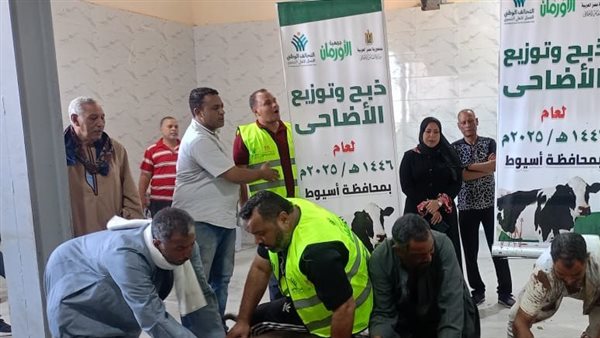 ذبح 230 رأس ماشية