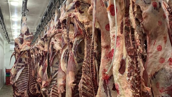 450 أضحية في مجزره