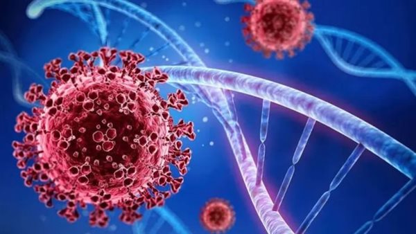 فيروس الميتانيمو