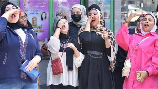 بوابة التعليم الأساسي