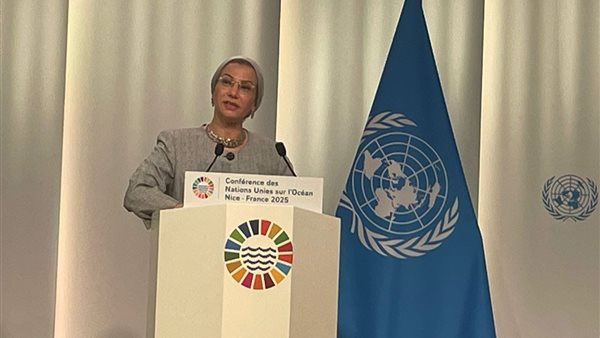 ياسمين فؤاد وزيرة