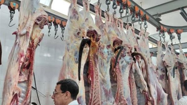 المجازر الحكومية