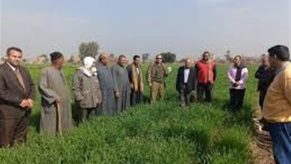 جانب من الجولة 