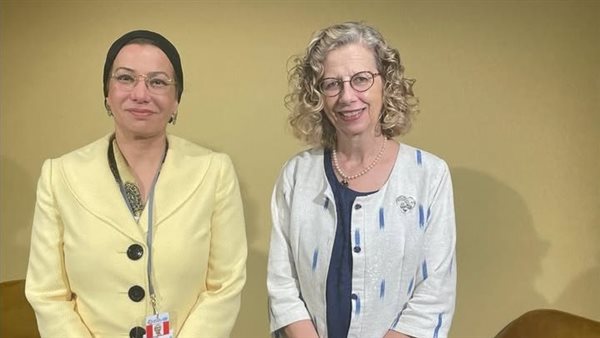 جانب من الفاعليات