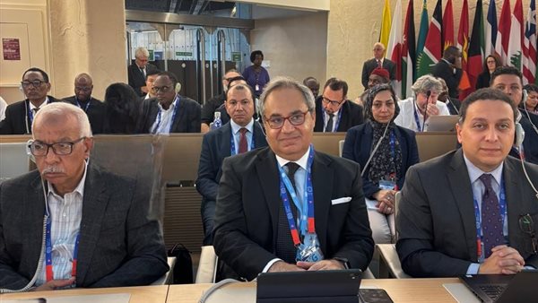 جانب من الفاعليات