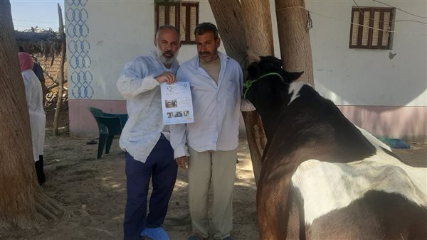 جانب من الفاعليات