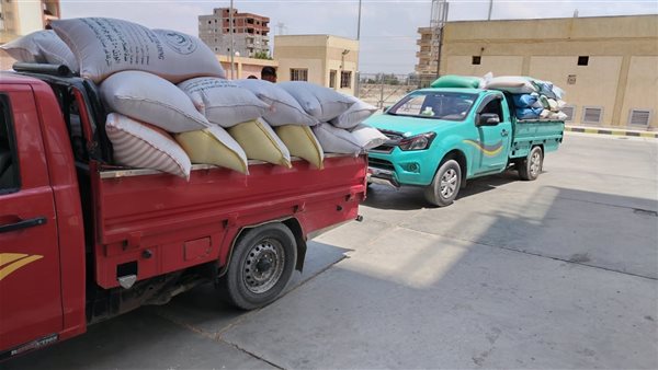 محافظه البحيره 