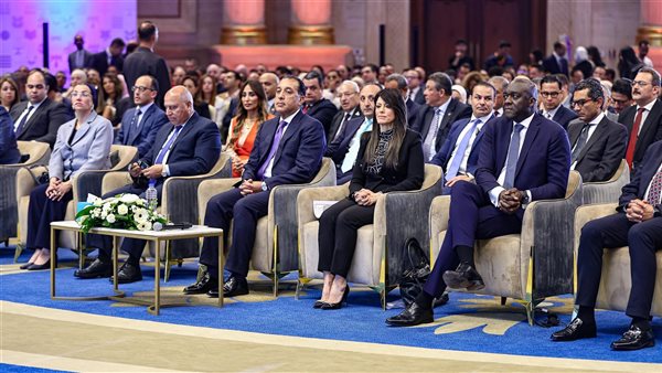  الحكومة المصرية