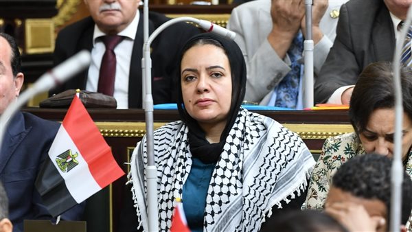 النائبة ريهام عبد