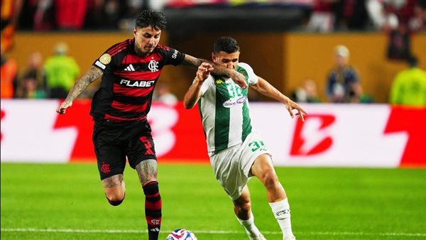 الترجي و فلامنجو