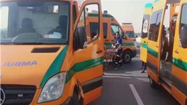 صوره ارشيفيه 