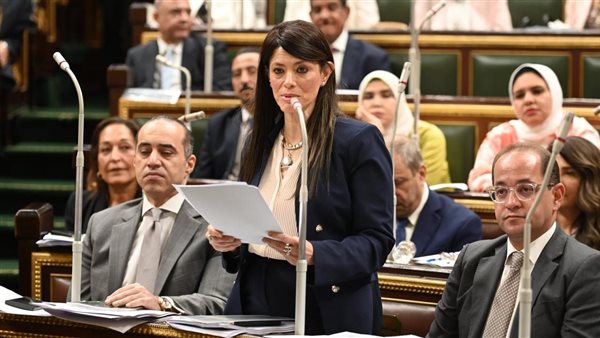 وزيرة التخطيط