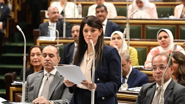 الدكتورة رانيا المشاط