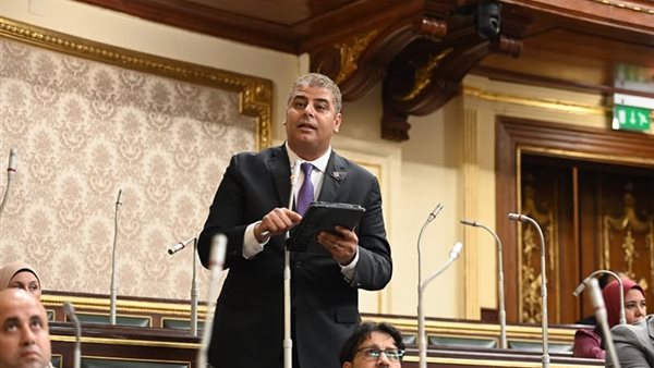 النائب الدكتور نادر