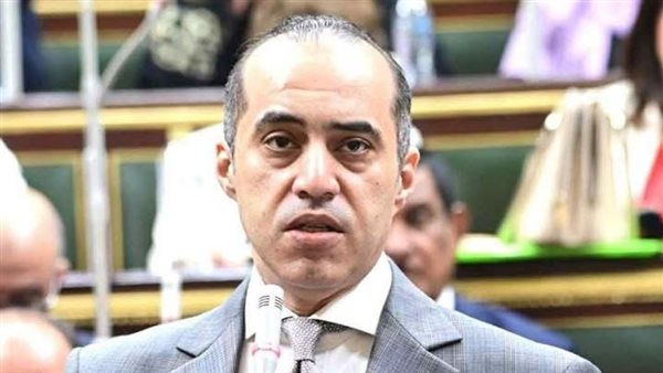 المستشار محمود فوزي