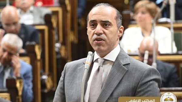  المستشار محمود فوزي