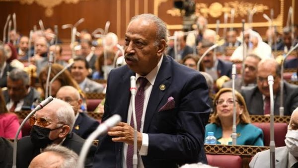 هاني العسال