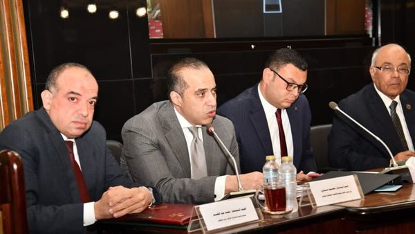 المستشار محمود فوزي