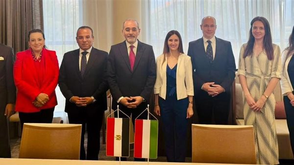  السفير وائل حامد