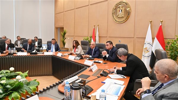 الحكومة المصرية