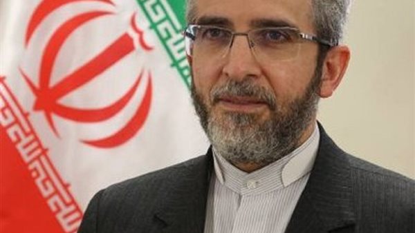 نائب وزير الخارجية