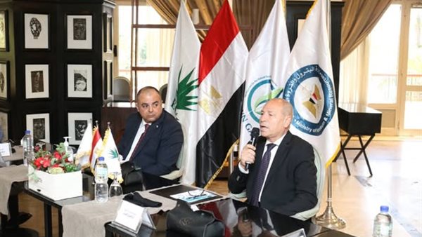 المهندس كريم بدوى