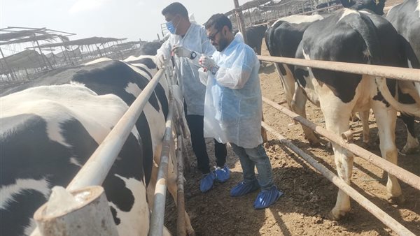 حملات بيطرية 