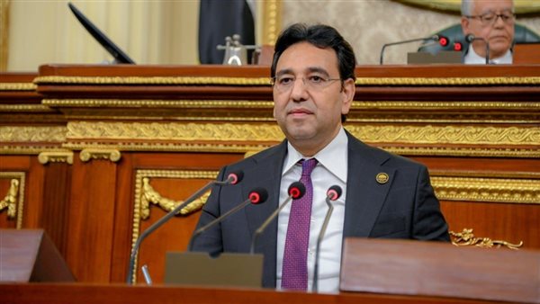 النائب أيمن محسب