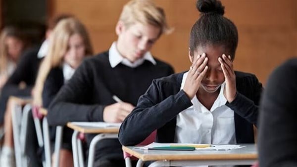 اكلات تقوي الذاكرة