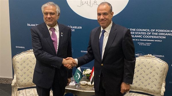 وزير الخارجية ونظيره