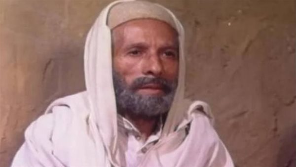 رشدي المهدي