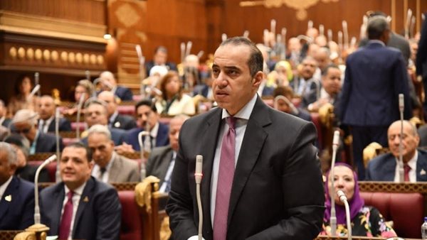 المستشار محمود فوزي