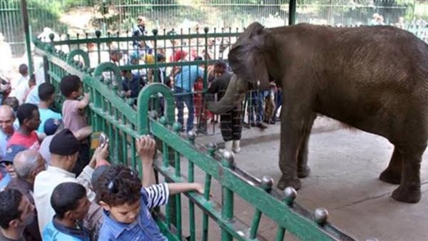 موعد افتتاح حديقة