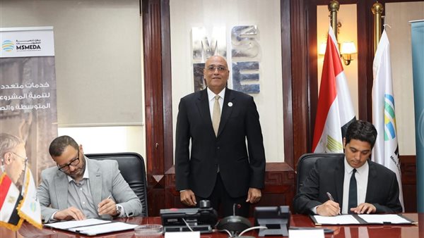  تنمية المشروعات