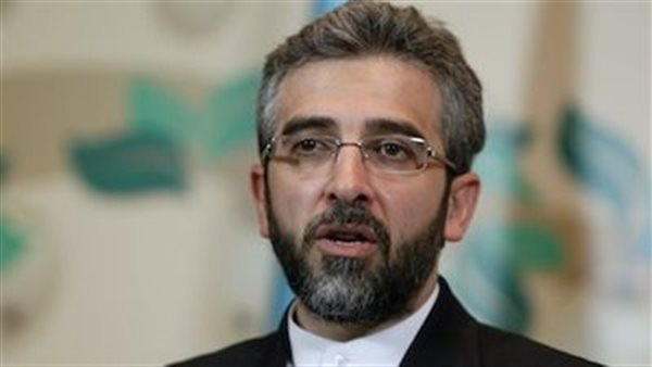 نائب وزير الخارجية