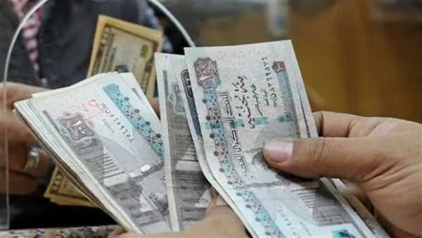 زيادة المعاشات في