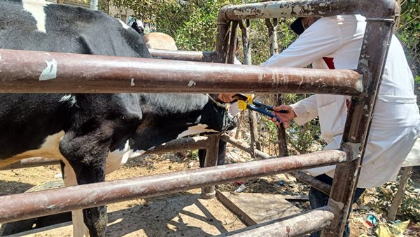  الهيئة العامة للخدمات