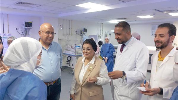 الدكتورة عبلة الألفي