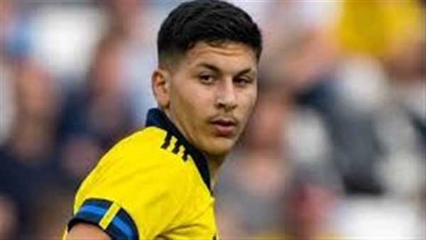 روني باردغجي