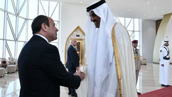 الرئيس السيسي وأمير
